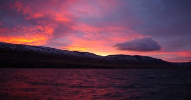 Conferences might require you to get up early, but at least in Akureyri, the benefit is of seeing otherworldly polar sunrises. (Mia Bennett)