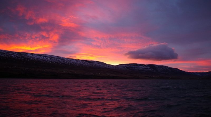 Conferences might require you to get up early, but at least in Akureyri, the benefit is of seeing otherworldly polar sunrises. (Mia Bennett)