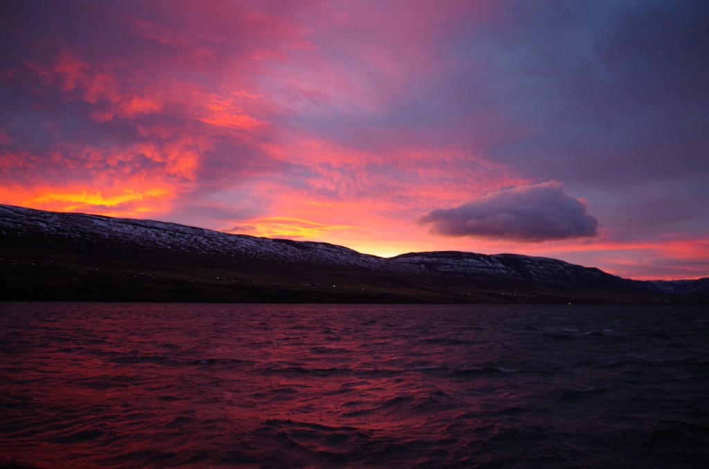 Conferences might require you to get up early, but at least in Akureyri, the benefit is of seeing otherworldly polar sunrises. (Mia Bennett)