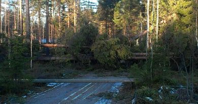 High winds over the weekend hit the northern counties of Västerbotten, Jämtland and Västernorrland. (Vattenfall / Radio Sweden)