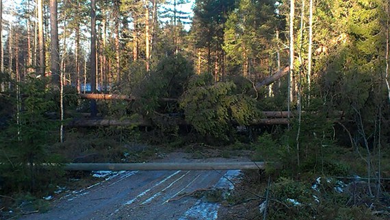 High winds over the weekend hit the northern counties of Västerbotten, Jämtland and Västernorrland. (Vattenfall / Radio Sweden)