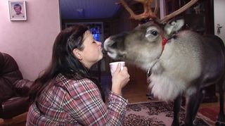 Pia Tuukkanen has formed a special bond with her pet reindeer. (Jarmo Honkanen / Yle)