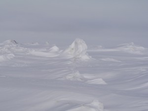 Beautiful, but in jeopardy. The Arctic (Chukchi Sea, Barrow, Alaska. Pic:I Quaile)