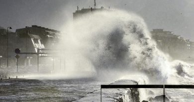 Storm Sven hits southern Sweden on December 6, 2013. On Thursday, northern Sweden braced for a winter storm, and several trains were cancelled. (Johan Nilsson/TT News Agency/AFP)