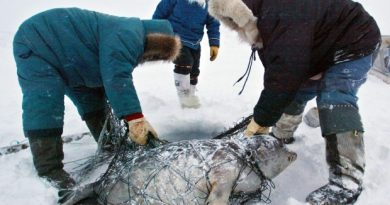 Barney Aggark of the Chesterfield Inlet Hunters and Trappers Association says hunters in Chesterfield have noticed the loss of marine mammals since shipping started to the mine in Baker Lake. He says he's going to fight for compensation. (The Canadian Press)