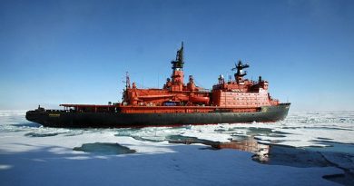 Shipping traffic went down along the Northern Sea Route this year, after four years of increases. (Vladimir Chistyakov/Associated Press)