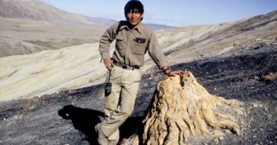 Dr. Tatsuo Sweda, de l'université de Nagoya au Japon devant un tronc fossilisé près du Fjord Strathcona sur l'île d'Ellesmere au Nunavut en 1990. (Courtoisie Dr. Jim Basinger)