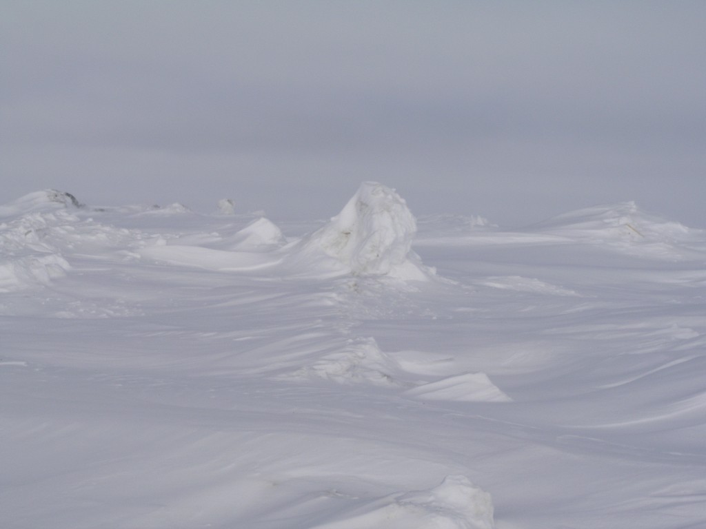 Chukchi Sea, Barrow, Alaska. ( I Quaile)