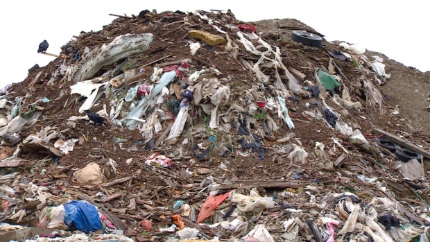 Tests last year showed that ammonia and toxic metals are leaching from Iqaluit's overflowing landfill into Frobisher Bay. The company, Eco Waste Solutions, says the city could build an incinerator to deal with the waste for about $4 million. (CBC.ca)