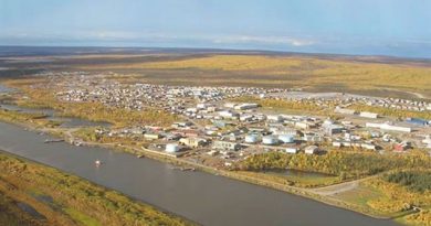 The high Arctic town of Inuvik in summer, rich in insects, birds, fish, wildlife; definitely not perpetual ice and snow, and no penguins ever. (CBC)