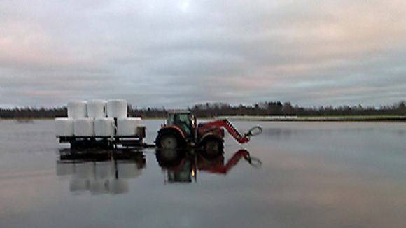 A farmer continues working despite December flooding in Western Finland (Yle)