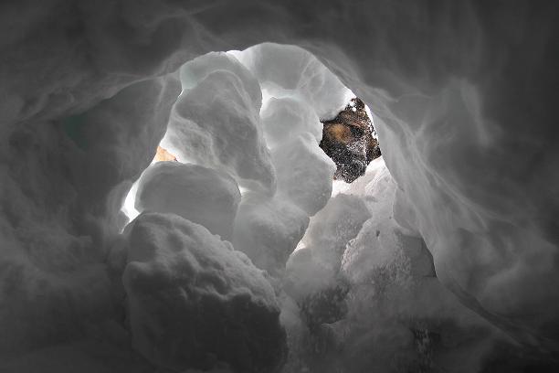 An avalanche dog searches for a person buried by snow during a training exercise in southern Germany. (Josef Hildenbrand / AFP)