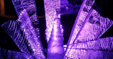 Ice sculpture in Helsinki in February 2014. (Heikki Saukkomaa / Lehtikuva / AFP)