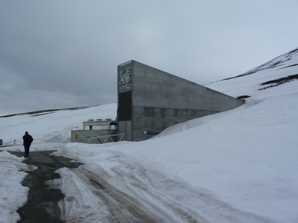 The seed vault on Svalbard. (I. Quaile, 2010)