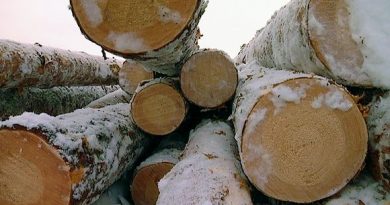 UPM's strategy of selling forests to international invstors is attracting German buyers -- who havea tradition of investing in forestry. (Tommi Parkkinen / Yle)