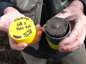 This is one of more than 200 permafrost cores containing DNA from Ice Age plants that was analyzed in the study. Cores from Alaska and Yukon were collected by Canadian scientists Grant Zazula and Duane Froese. (Ross MacPhee)