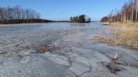 (Paavo Koponen / Yle)