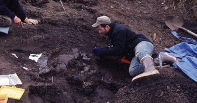 Tony Fiorillo is shown in this undated handout photo on an Alaska's North Slope. Scientists have discovered a new species of dinosaur that roamed the Arctic 70 million years ago. Nanuqsaurus hoglundi is a tiny cousin of the Tyrannosaurus rex that lived in northern Alaska, close to the Yukon border on the Beaufort Sea. (Perot Museum of Nature and Science / The Canadian Press)