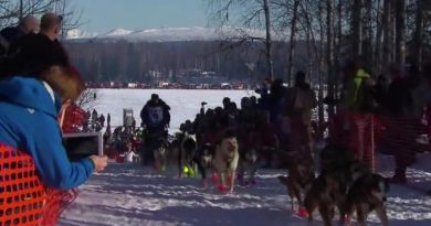 Almost 70 dogteams started in this year's Iditarod compared to 18 in the Yukon Quest. (CBC)