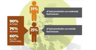 The Nunavut Inuit Child Health Survey, 2007-2009, found that 70 per cent of Inuit preschoolers don't know when they'll get their next meal. (Aboriginal Food Security in Northern Canada: An Assessment of the State of Knowledge / CBC.ca)