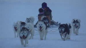 Les mushers Allen Gordon et Manngi Kooktlook de Kuujjuaq. (Alec Gordon)