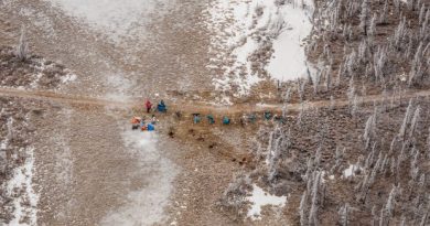 Musher Jake Berkowitz, in red, stopped in the Farewell Burn between Rohn and Nikolai during this year's Iditarod. March 4, 2014. (Loren Holmes / Alaska Dispatch)