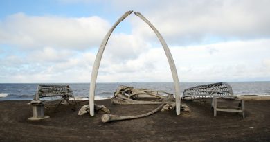 Whale bones and whaling boats frames a view of the Chukchi Sea in Arctic Alaska. (iStock)