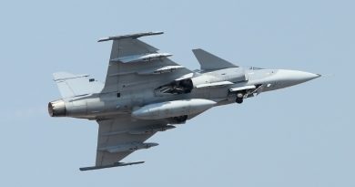 A JAS Gripen combat aircraft. Sweden's parliament had already agreed to purchase 60 JAS Gripen planes but Enstrom believes that 10 more should be bought. (iStock)