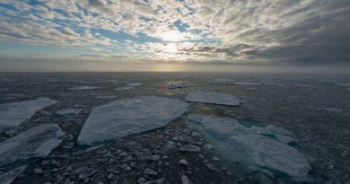 Ice floes on the Barents Sea at sunrise. (iStock)