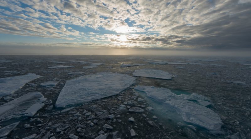 Ice floes on the Barents Sea at sunrise. (iStock)