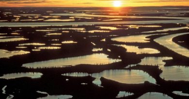 The Mackenzie delta, vastly important in the earth'ls climate. Photo Credit: M. Milne/Northwest Territories Government/The Canadian Press)