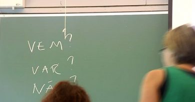A Swedish lesson in a Finnish-language school; but native speaker numbers have been dwindling for 40 years. ( Yle )