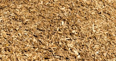 The bulk of the biomass at the Turku plant will be wood chips gathered within a 150-kilometre radius. (iStock)