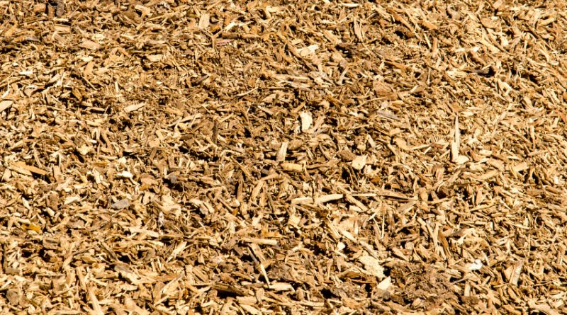 The bulk of the biomass at the Turku plant will be wood chips gathered within a 150-kilometre radius. (iStock)