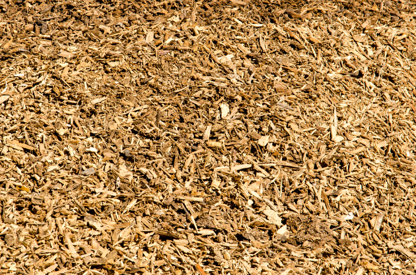 The bulk of the biomass at the Turku plant will be wood chips gathered within a 150-kilometre radius. (iStock)