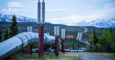 The Trans-Alaska Pipeline, seen here near Delta Junction. The 800-mile oil pipeline is a critical part of the state's oil production infrastructure. June 7, 2013. (Loren Holmes / Alaska Dispatch)