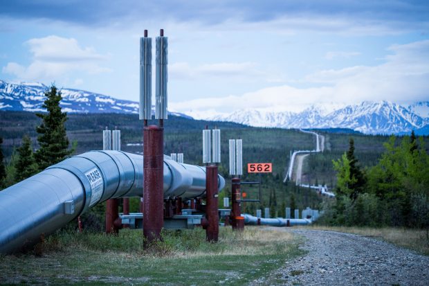 The Trans-Alaska Pipeline, seen here near Delta Junction. The 800-mile oil pipeline is a critical part of the state's oil production infrastructure. June 7, 2013. (Loren Holmes / Alaska Dispatch)