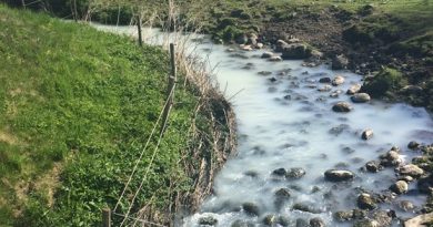 The Tolånga river in Sjöbo municipality. (Sveriges Radio)