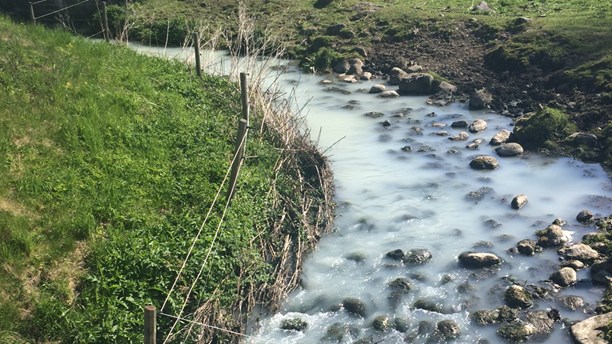 The Tolånga river in Sjöbo municipality. (Sveriges Radio)