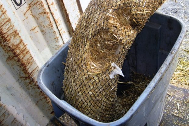 Mice, an invasive species on St. George Island, had burrowed nests into coiled straw construction wattles and cached seed everywhere in the shipping container. After inspection, the eradication crew sent all of the material to burn barrels. (Marc Romano / USFWS)