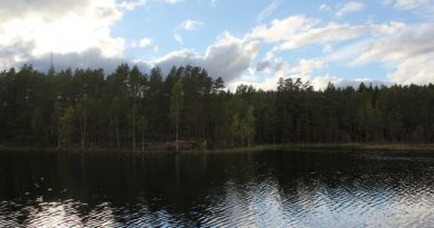 A lake in Värmland, Sweden. (iStock)