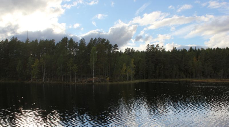 A lake in Värmland, Sweden. (iStock)
