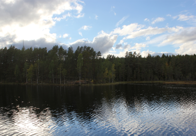 A lake in Värmland, Sweden. (iStock)