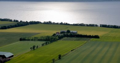 A farm on the edge of Vättern Lake in Sweden. (iStock)