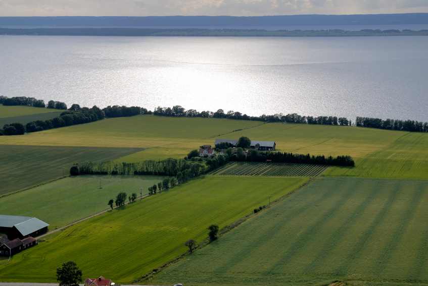 A farm on the edge of Vättern Lake in Sweden. (iStock)