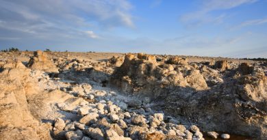 Limestone formations on the island of Gotland, Sweden. (iStock)