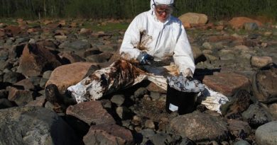 A volunteer from the environmental NGO WWF helps with the arduous cleanup operation. (Joonas Fritze / WWF )