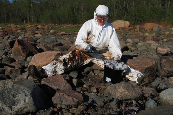 A volunteer from the environmental NGO WWF helps with the arduous cleanup operation. (Joonas Fritze / WWF )