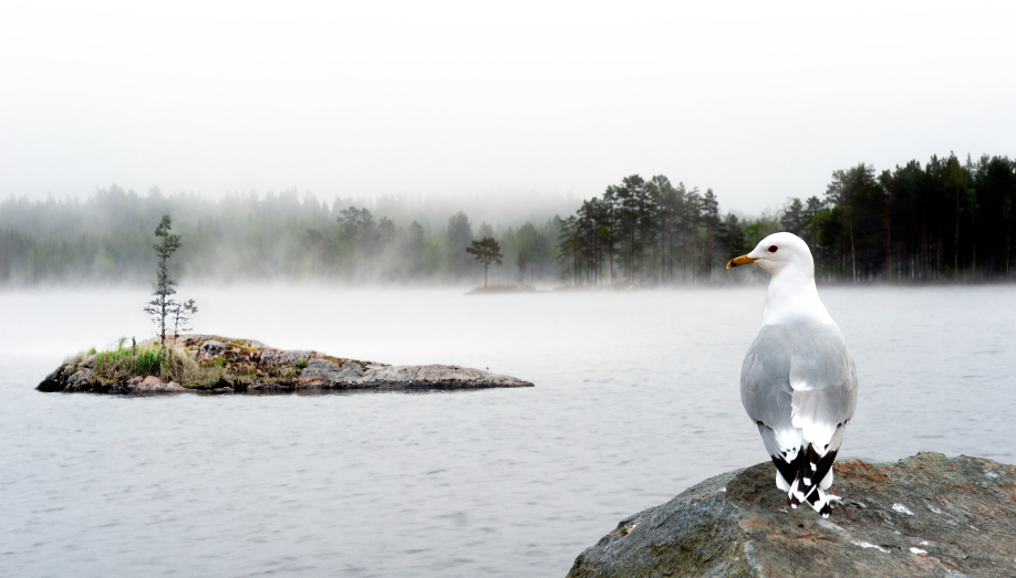 A landscape in Sweden. (iStock)
