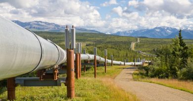 The trans-Alaska pipeline. (iStock)